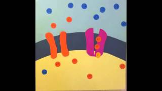 Establishing Resting Membrane Potential [upl. by Issie]