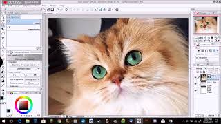 How to import and edit photos on Clip Studio Paint PROUPDATED [upl. by Darrill248]