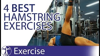 The 4 Best Hamstring Exercises  Hamstring Training [upl. by Aed]