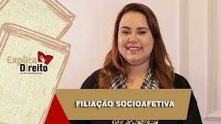 Explica Direito Filiação Socioafetiva  2019 [upl. by Takashi]