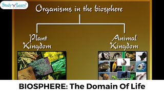 Biosphere The Domain Of Life  Chapter 5 Geography  Class 6 NCERT [upl. by Edgardo]