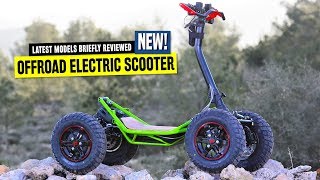 Top 8 Electric Scooters Ranked by Pricing and OffRoad Capabilities in 2020 [upl. by Clarhe]