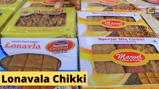 Lonavala Chikki I Indias Best Chikki amp Fudge  A One Chikki  Maganlal Chikki   Crazy Food Ranger [upl. by Mick481]