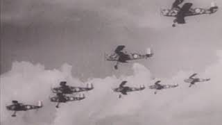 Baron Von Richthofen The Red Baron  Full Documentary [upl. by Gaige]