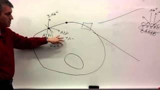 Membrane Potentials for beginners [upl. by Opiak]