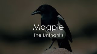 Magpie  The Unthanks  LYRICS [upl. by Ahsiri59]