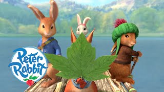 Peter Rabbit  Camping by the Lake  Cartoons for Kids [upl. by Bronder]