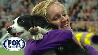 Pnk the border collie wins backtoback titles at the 2019 WKC Masters Agility  FOX SPORTS [upl. by Bergman]