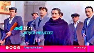 ΑΓΡΙΕΣ ΜΕΛΙΣΣΕΣ  ΕΠΕΙΣΟΔΙΟ 57 ΠΕΜΠΤΗ 1612020  TRAILER FULL HD [upl. by Wadleigh]