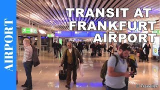 TRANSIT WALK AT FRANKFURT Airport FRA Terminal 1  Connection Flight Transfer Arriving amp Departing [upl. by Lancelot]